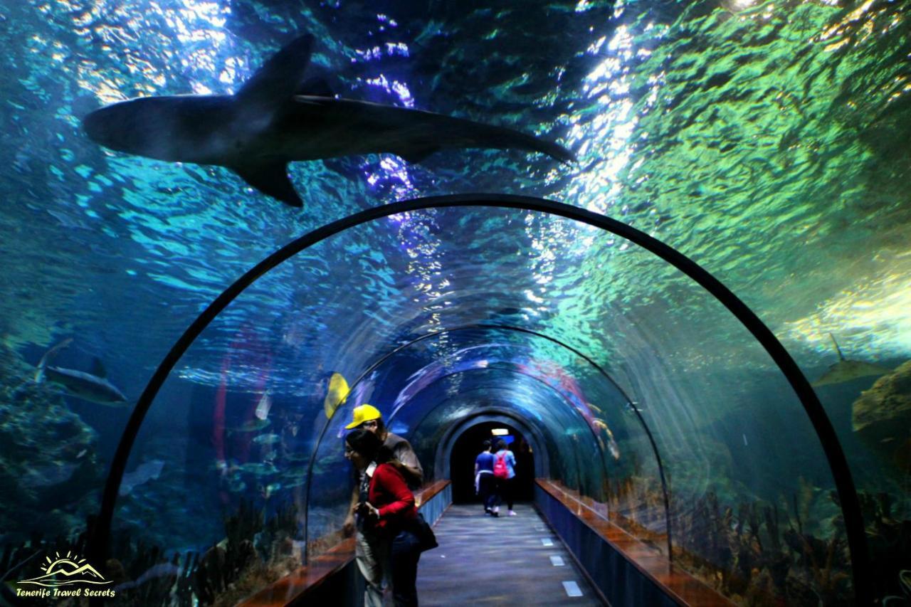 Lovely El Duque Costa Adeje  ภายนอก รูปภาพ